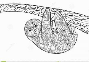 Sloth Coloring Pages for Kids Sloth Coloring Book for Adults Vector Stock Vector
