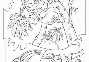 Sloth Coloring Pages for Kids Sloth Coloring Pages
