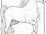 Small Horse Coloring Pages 1406 Best Horse Coloring Pages Images
