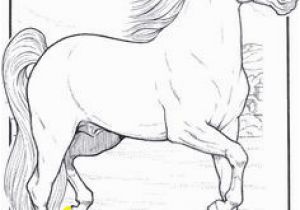 Small Horse Coloring Pages 1406 Best Horse Coloring Pages Images