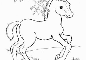 Small Horse Coloring Pages Free Printable Horse Coloring Pages for Kids