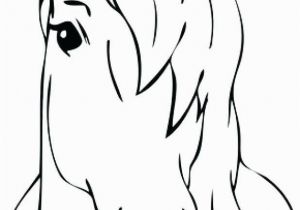 Small Horse Coloring Pages Horse Head Coloring Page Head Coloring Page Blank Face