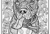 Smoky Mountain Coloring Pages Smoky Mountain Coloring Pages Unique 20 Superb Animals In Great