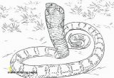 Snakes Coloring Pages Snake Coloring Pages Beautiful Snake Coloring Pages New Cool