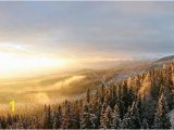 Snow forest Wall Mural Winter forest Snow with A Warm Sunset On the Misty Air