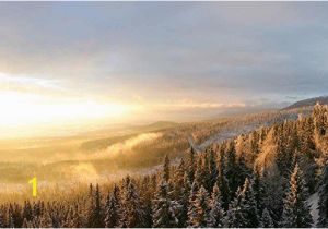 Snow forest Wall Mural Winter forest Snow with A Warm Sunset On the Misty Air