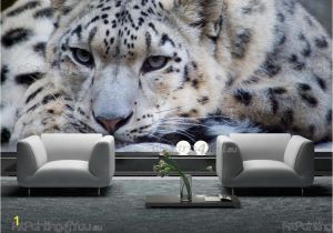 Snow Leopard Wall Mural Wandtattoo Leopard