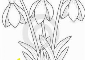 Snowdrop Coloring Pages 143 Best Watercolor Painting Images On Pinterest In 2018