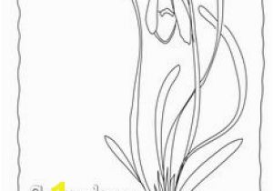 Snowdrop Coloring Pages 190 Best Snowdrop Flower Art Ill Images On Pinterest