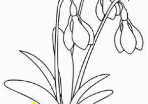 Snowdrop Coloring Pages 272 Best Coloring Pages Images
