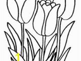 Snowdrop Coloring Pages 46 Best Flowers and Plants Images On Pinterest