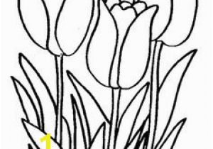 Snowdrop Coloring Pages 46 Best Flowers and Plants Images On Pinterest