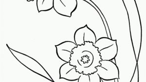 Snowdrop Coloring Pages Line Drawings Of Snowdrops Google Search