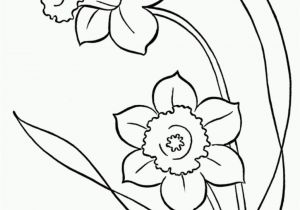 Snowdrop Coloring Pages Line Drawings Of Snowdrops Google Search