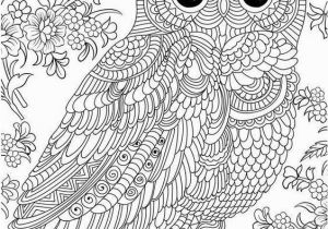 Snowy Owl Coloring Page Coloriage Zen