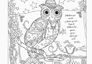 Snowy Owl Coloring Page Coloring Activities for Grade 2 Beautiful Math Facts