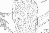 Snowy Owl Coloring Page Pin by MaÅgorzata Kitka On Coloring Pages Owls