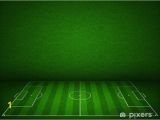 Soccer Field Wall Mural soccer or Football Field or Pitch Side View with Proper Markings Wall Mural Vinyl