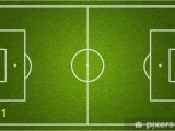 Soccer Field Wall Mural soccer or Football Field top View Wall Mural Vinyl