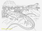 Sonoran Desert Coloring Pages sonoran Desert Animal Coloring Pages Fascinating Desert Coloring