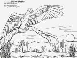 Sonoran Desert Coloring Pages sonoran Desert Animal Coloring Pages Fascinating Desert Coloring