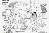 Sonoran Desert Coloring Pages sonoran Desert Animals Coloring Pages Awesome Wildlife Coloring