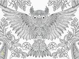 Southwest Coloring Pages 10 Beautiful Owl Coloring Pages for Adults