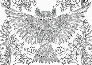 Southwest Coloring Pages 10 Beautiful Owl Coloring Pages for Adults