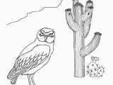 Southwest Coloring Pages Learn About and Color Animals On Exploringnature