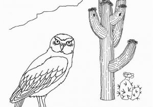 Southwest Coloring Pages Learn About and Color Animals On Exploringnature