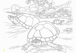 Southwest Coloring Pages the Desert tortoise is A Timid Reptile that Lives In Sandy Deserts