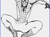 Spider Man Coloring Page Drawings for Coloring Beautiful Coloring Spiderman