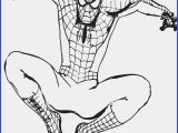 Spider Man Coloring Page Drawings for Coloring Beautiful Coloring Spiderman