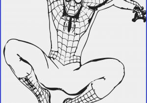Spider Man Coloring Page Drawings for Coloring Beautiful Coloring Spiderman