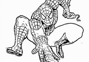 Spider Man Coloring Page Jukung Wallpaper Spider Man original