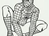 Spiderman Coloring Pages for Adults Coloring Pages Coloring for Adults Printable