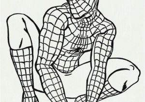 Spiderman Coloring Pages for Adults Coloring Pages Coloring for Adults Printable