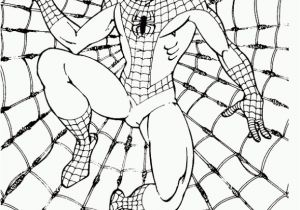 Spiderman Coloring Pages to Print Free Super Hero Coloring Pages Free