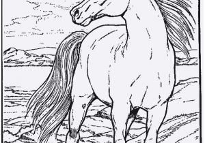 Spirit Horse Coloring Pages Printable Pferde Ausmalbilder Unique 42 Ausmalbilder Pferde Spirit Coloring Pages