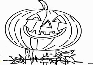 Spookly the Square Pumpkin Coloring Page Spookley the Square Pumpkin Coloring Page Funsoke