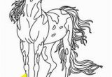 Spotted Horse Coloring Pages 118 Best Horse Color Pages Images On Pinterest