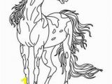 Spotted Horse Coloring Pages 118 Best Horse Color Pages Images On Pinterest