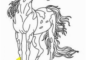 Spotted Horse Coloring Pages 118 Best Horse Color Pages Images On Pinterest