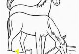 Spotted Horse Coloring Pages 371 Best Horse Lover Coloring Pages Images On Pinterest In 2018