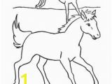 Spotted Horse Coloring Pages 371 Best Horse Lover Coloring Pages Images On Pinterest In 2018