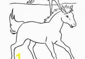 Spotted Horse Coloring Pages 371 Best Horse Lover Coloring Pages Images On Pinterest In 2018