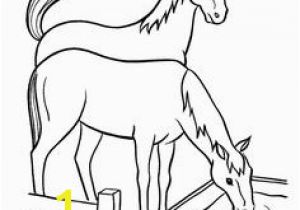 Spotted Horse Coloring Pages 371 Best Horse Lover Coloring Pages Images On Pinterest In 2018