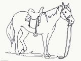 Spotted Horse Coloring Pages Big Printable Coloring Pages Horses Coloring Pages for All Ages