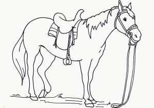 Spotted Horse Coloring Pages Big Printable Coloring Pages Horses Coloring Pages for All Ages