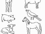 Spring Baby Animal Coloring Pages Match the Baby Animals to their Parents by Drawing Lines with